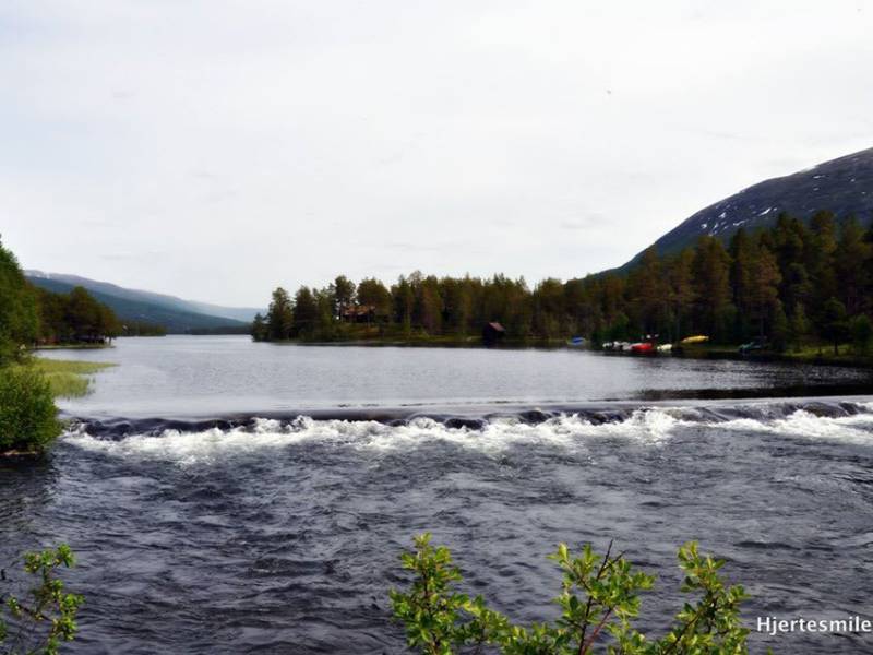 sj_lesjaskog2